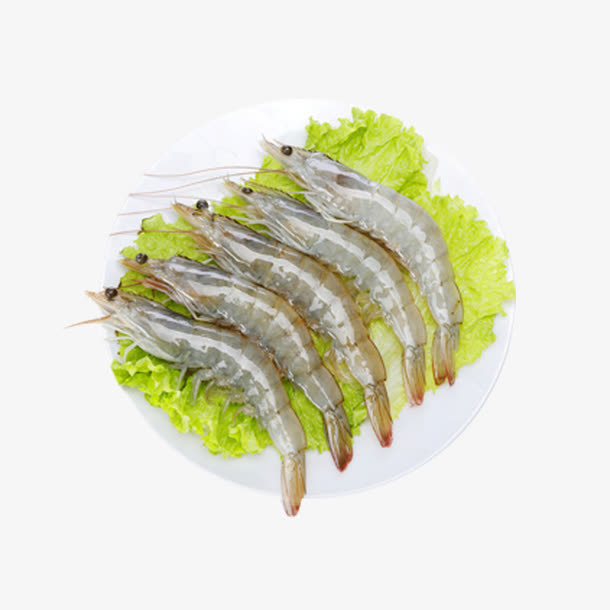 产品实物食物原料生菜冰虾免抠
