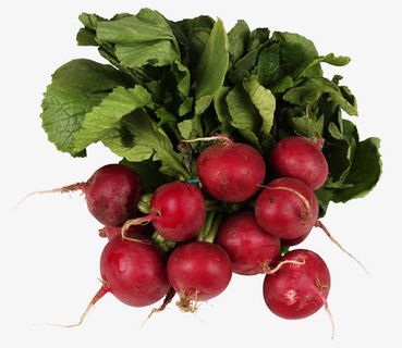 食物辣萝卜免抠