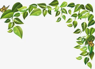 矢量绿色边框免抠