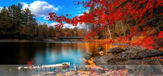 淘宝背景图高清