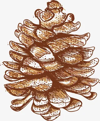 黄色松果果实免抠