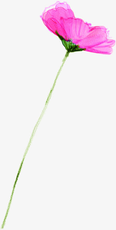 春天精美水彩花朵免抠