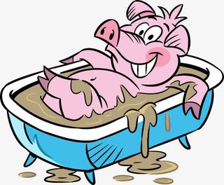 洗澡的小猪免抠