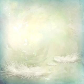 白色轻盈羽毛创意日光免抠