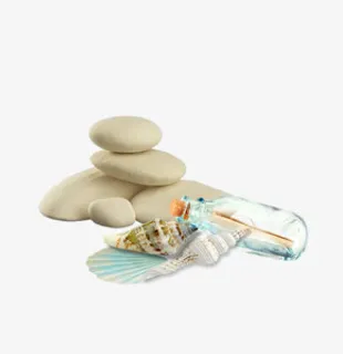 石头海螺贝壳漂流瓶免抠 石头海螺贝壳漂流瓶免抠