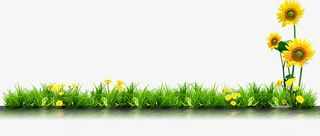 春季花朵环保植物装饰免抠