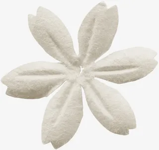 绿植花卉花朵海报背景 白色花瓣