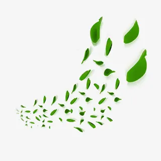 飞舞的绿叶免抠漂浮叶子元素
