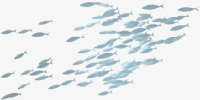 海中游泳的鱼群免抠