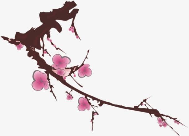 梅花花瓣免抠