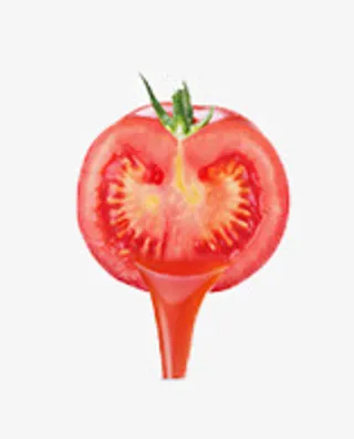 红色西红柿免抠