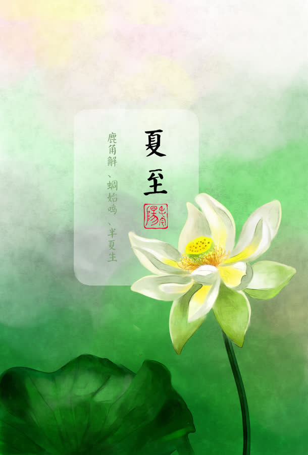 白叶黄芯节气夏至免抠