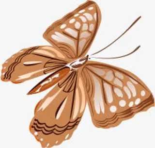 手绘黄色纹理蝴蝶免抠