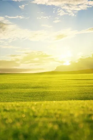 大自然唯美广阔背景图高清