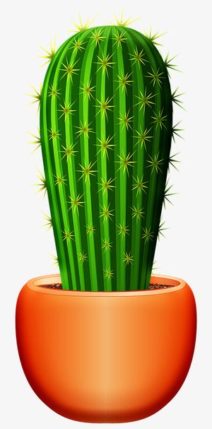 一盆绘制的仙人掌免抠动植物植物元素