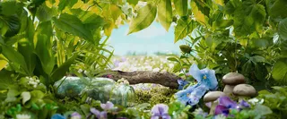 绿色大自然护肤品banner高清