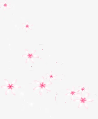 花瓣漂浮物免抠