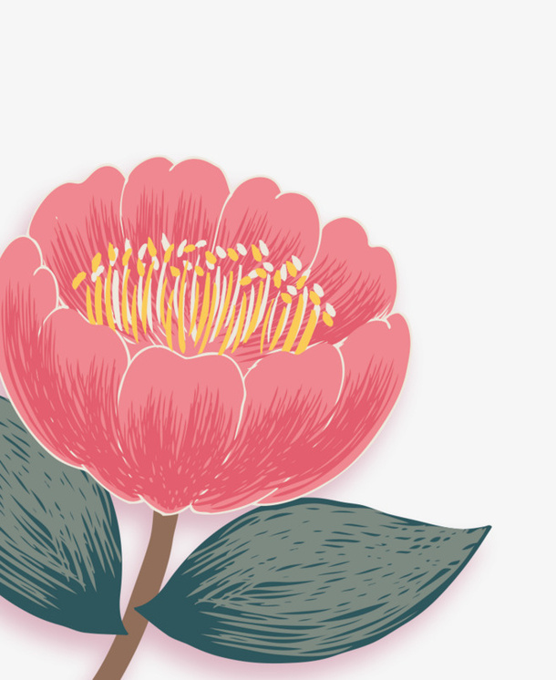 手绘的木槿花免抠