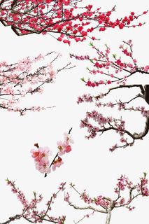 水墨桃花红色桃花粉红色桃花免抠