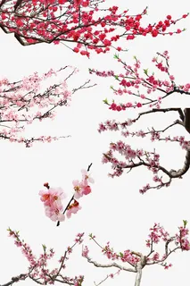 水墨桃花红色桃花粉红色桃花免抠 水墨桃花红色桃花粉红色桃花免抠