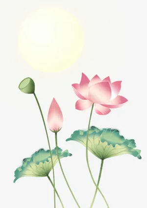 荷塘花开月色效果免抠