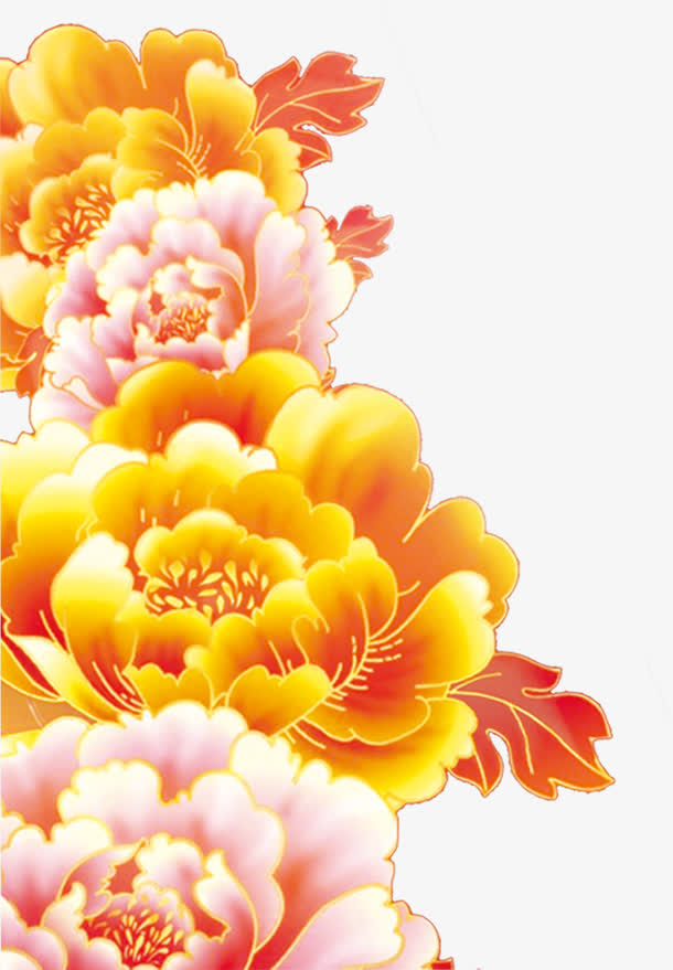 粉色黄色菊花图片免抠