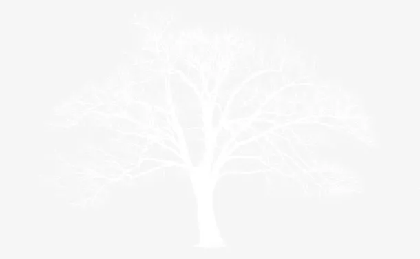 树枝冬季雪景素材背景