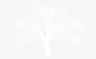 树枝冬季雪景素材背景