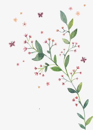 卡通小花免抠