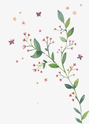 卡通小花免抠