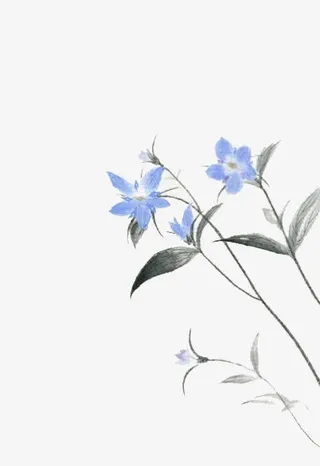 蓝色桔梗花免抠