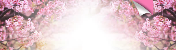 淘宝女鞋唯美背景banner