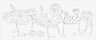 线稿png荷花儿免抠