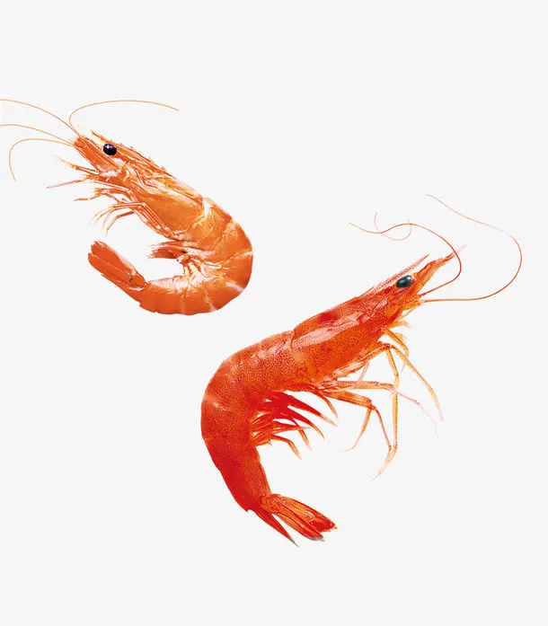 两只虾免抠
