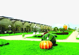 大棚蔬菜地免抠