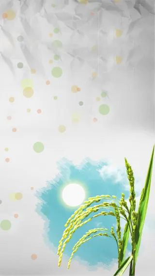 灰色背景下的五彩圆形和麦穗H5背景高清