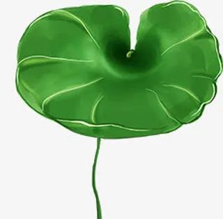 摄影绿色荷叶效果图免抠