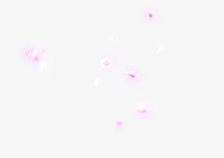 情人节玫瑰花瓣漂浮免抠