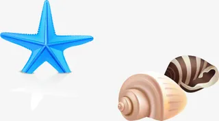 海星海螺夏天 元素 PNG 素材.暑天免抠