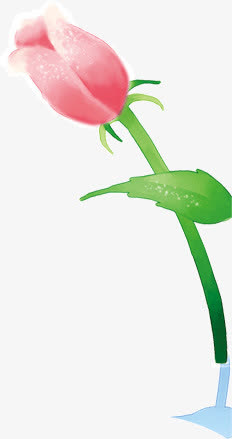 一株未开放的花朵免抠