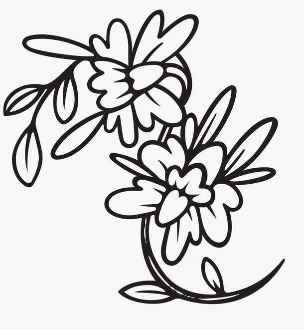 手绘线条花卉免抠