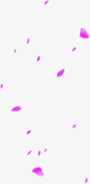 唯美花瓣飘落免抠