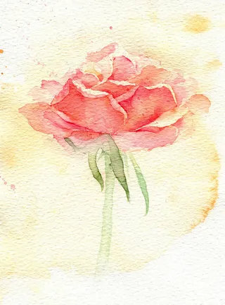 水彩粉花绿叶壁纸免抠