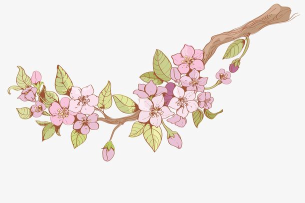 水彩古风粉色梅花装饰免抠
