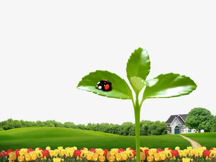 绿色环保展板免抠