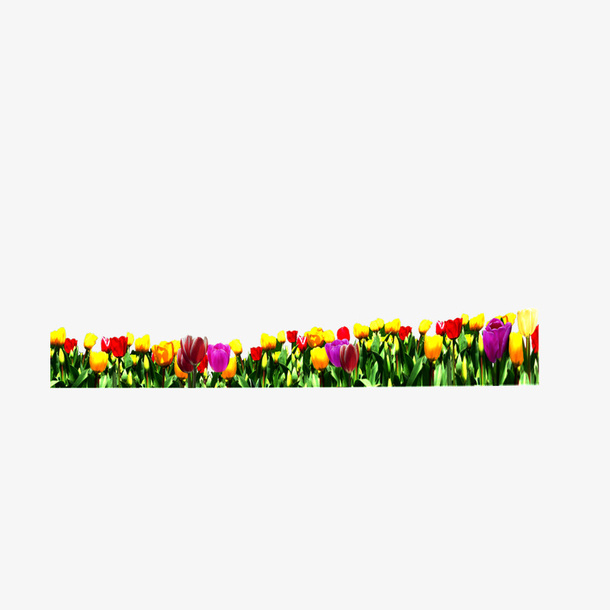 花免抠