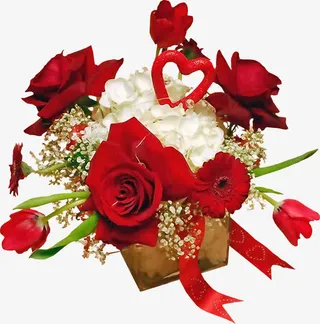 红色玫瑰花免抠