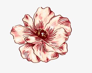 小清新水彩花卉花朵免抠