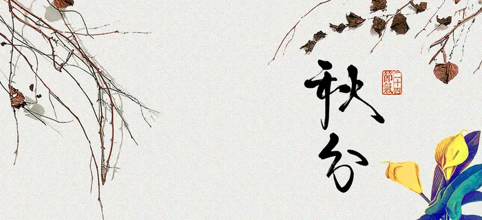 秋季秋分简约秋季背景高清