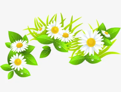 春天绿色叶子装饰免抠